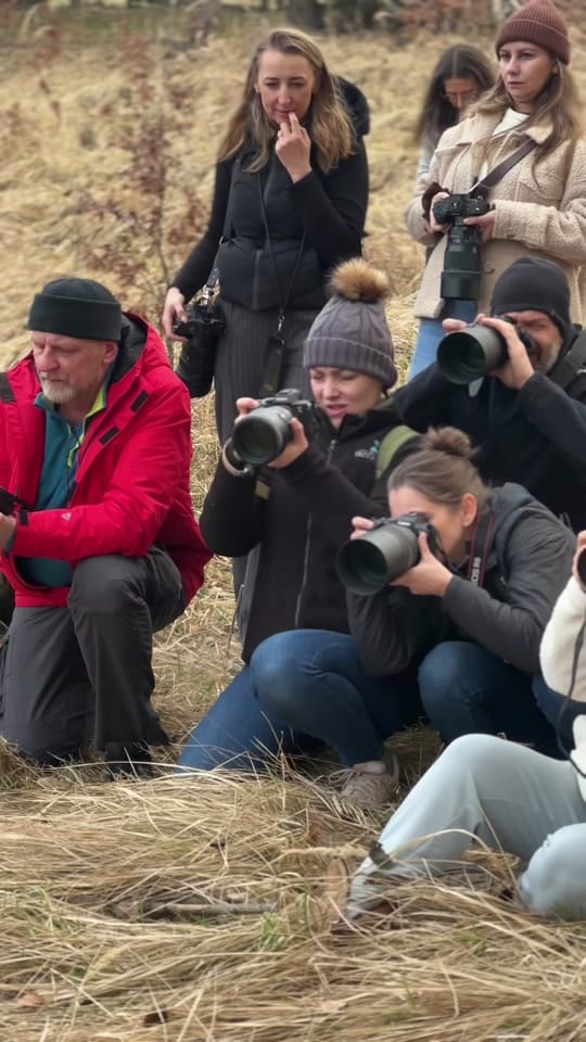 Post 10 by Fotografie Iwona Podlasińska on TikTok (video)