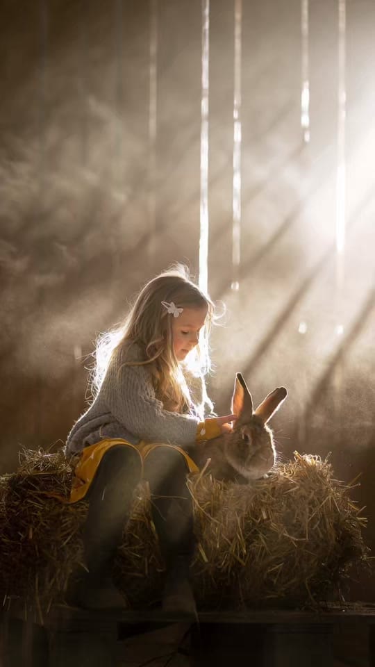 Post 4 by Fotografie Iwona Podlasińska on TikTok (video)