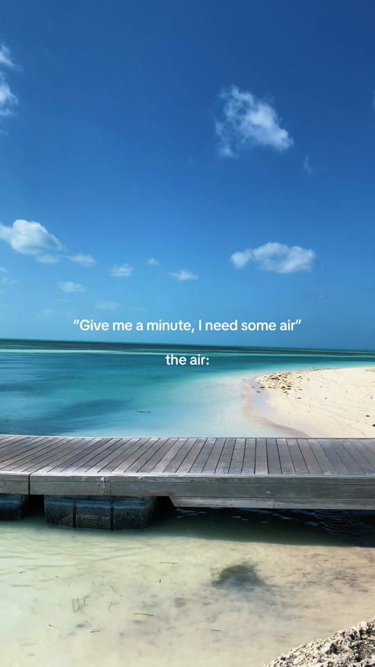 Post 5 by B R I A N N A 🦋 on TikTok (video)