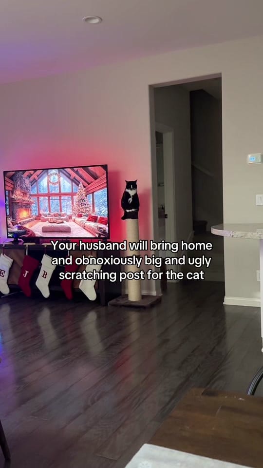 Post 1 by Jill_Kristin on TikTok (video)