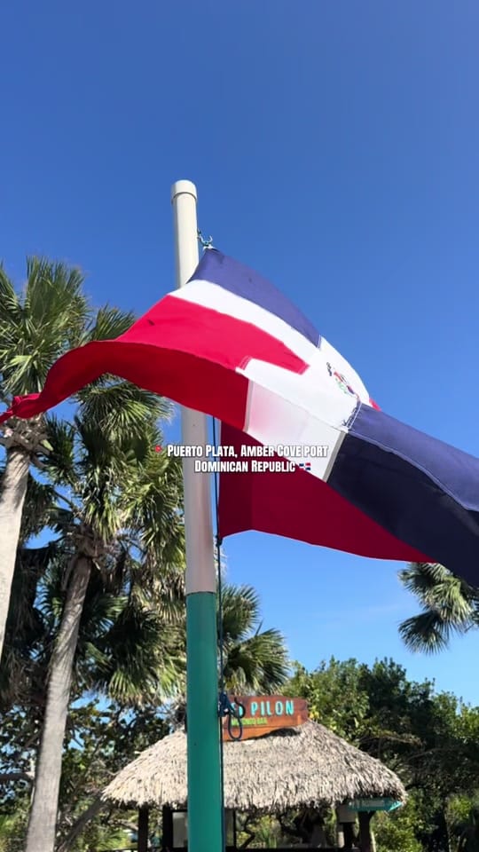 Post 8 by Carly| FL 🍊 on TikTok (video)