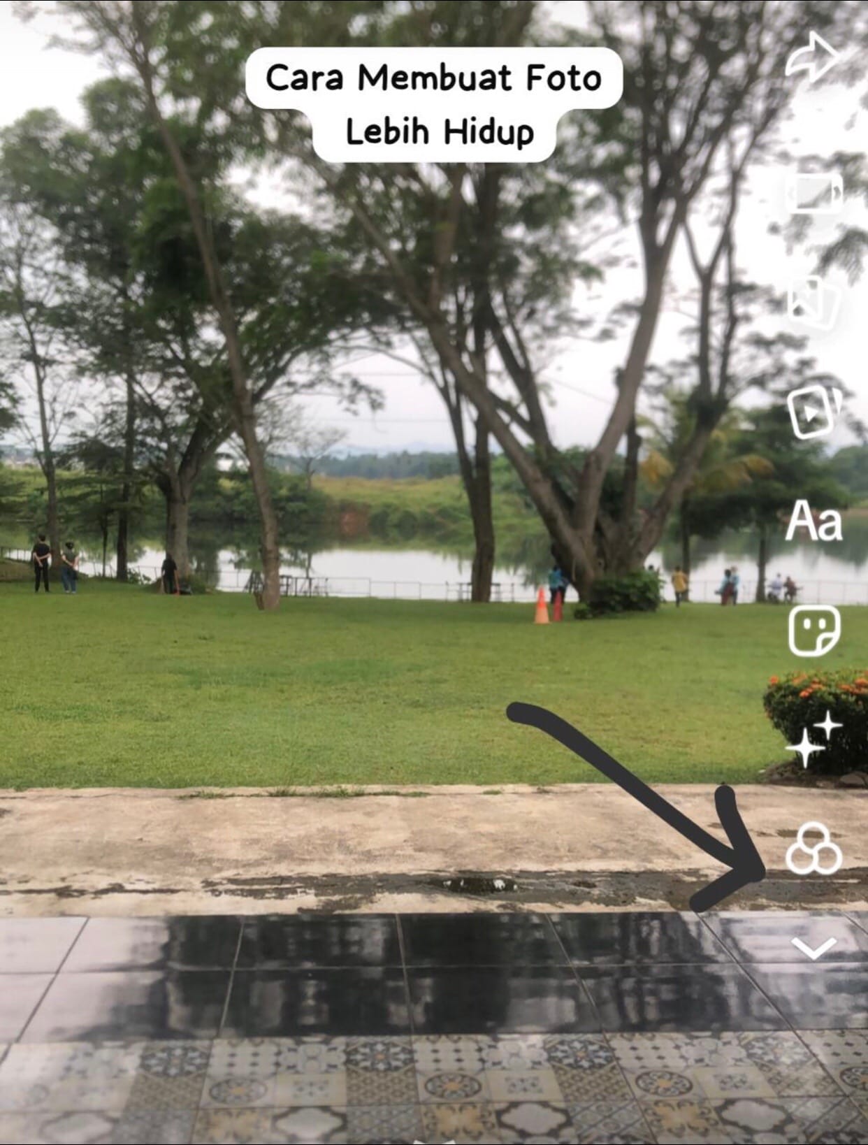Post 8 by Tika طِيبَةً تَائِكَة 🇲🇨🇾🇪 on TikTok (video)