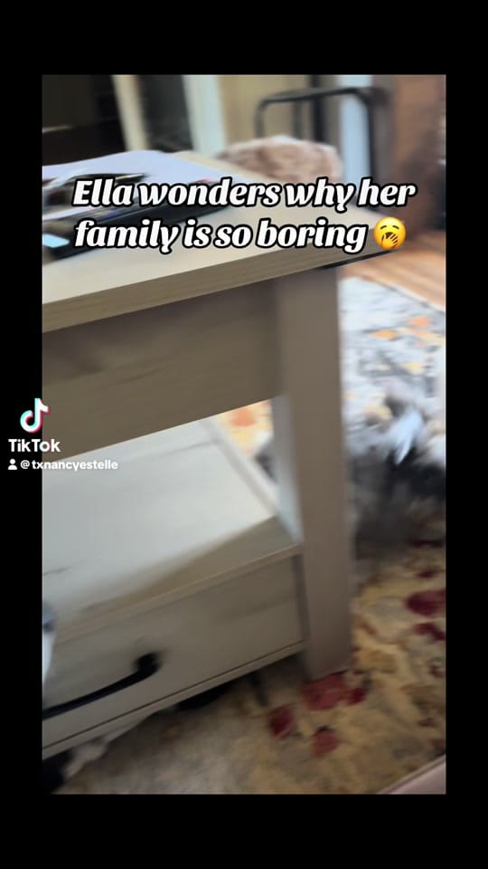 Post 4 by Nancy Estelle on TikTok (video)