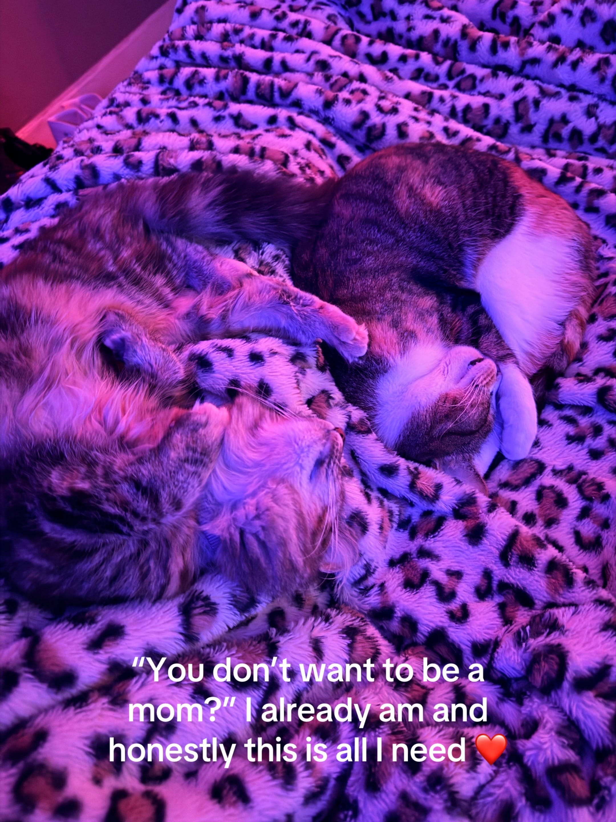 Post 3 by kels on TikTok (video)