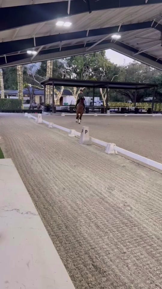 Post 7 by Jfo on TikTok (video)