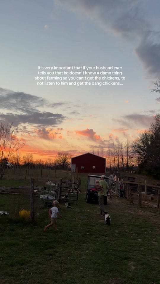 Post 7 by Miranda Boland on TikTok (video)