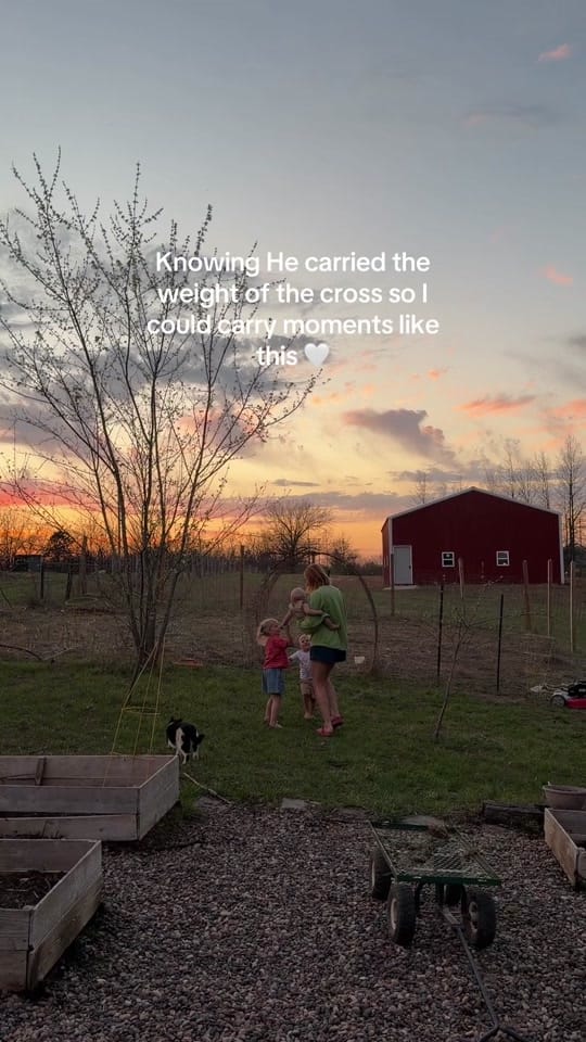 Post 4 by Miranda Boland on TikTok (video)
