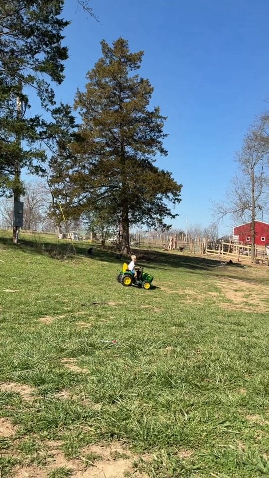 Post 3 by Miranda Boland on TikTok (video)