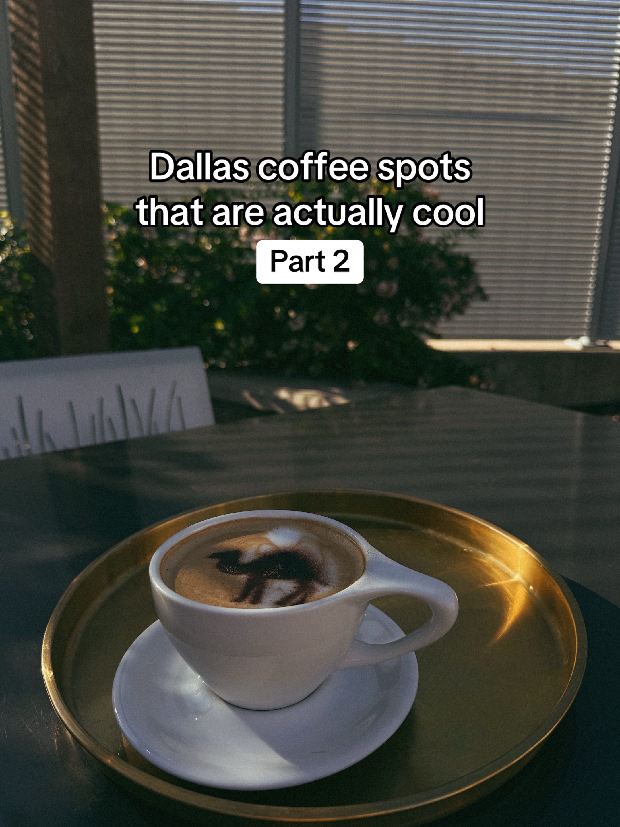 Post 7 by Paige-Dallas Food 🍝🍕 on TikTok (video)