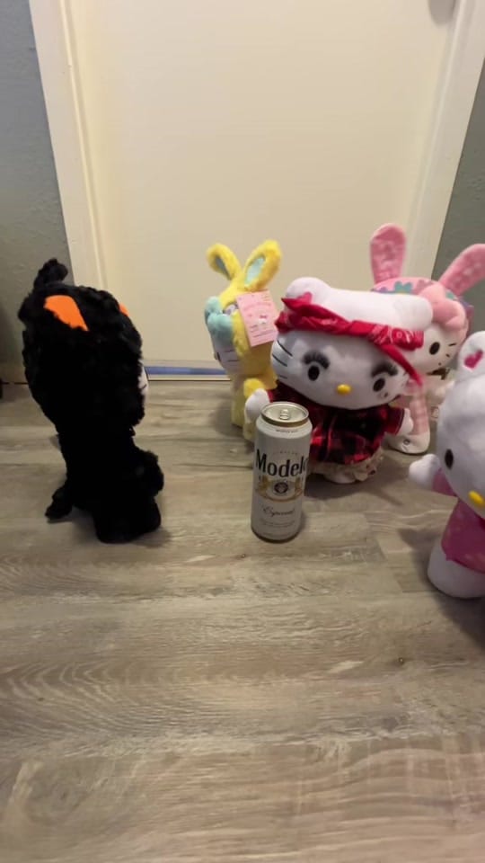 Post 4 by @Slayergirl28 on TikTok (video)