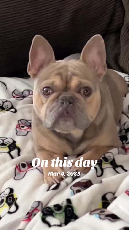 Post 1 by @Slayergirl28 on TikTok (video)