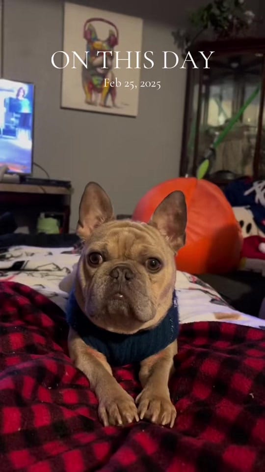 Post 2 by @Slayergirl28 on TikTok (video)