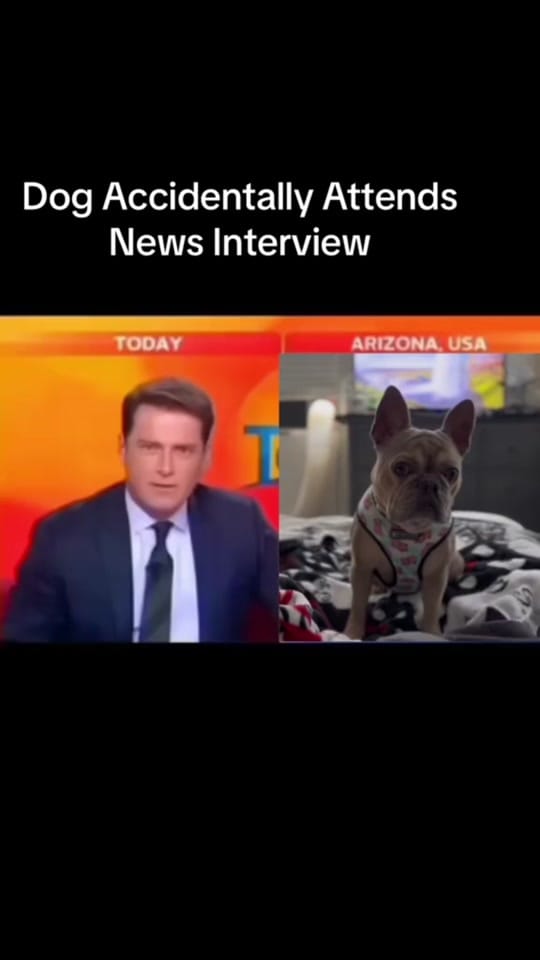 Post 9 by @Slayergirl28 on TikTok (video)