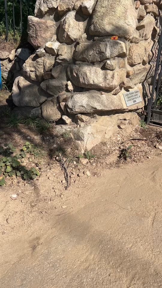 Post 5 by @Slayergirl28 on TikTok (video)