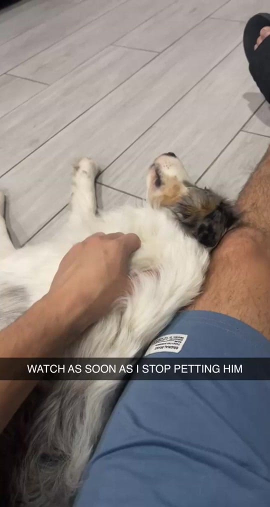 Post 3 by Armando Travels on TikTok (video)