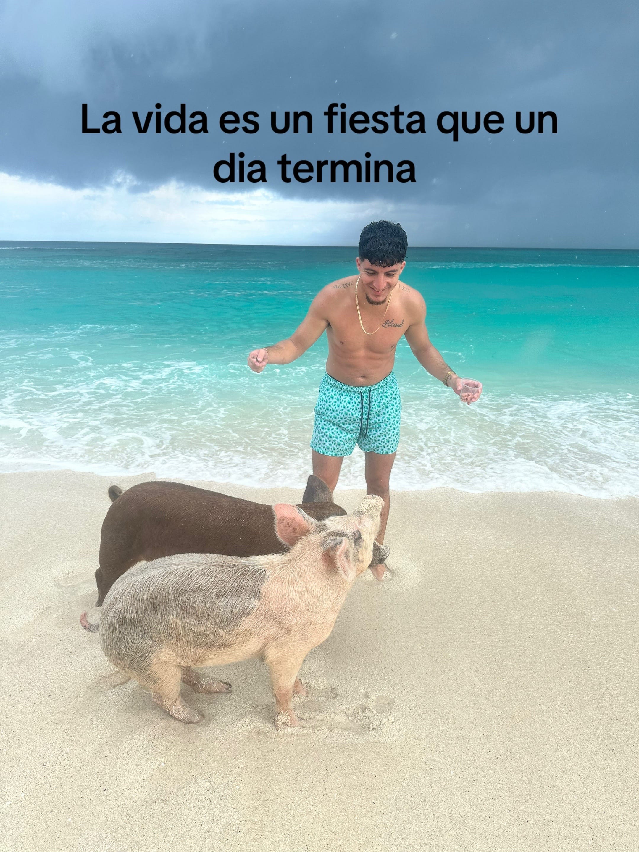 Post 2 by Armando Travels on TikTok (video)