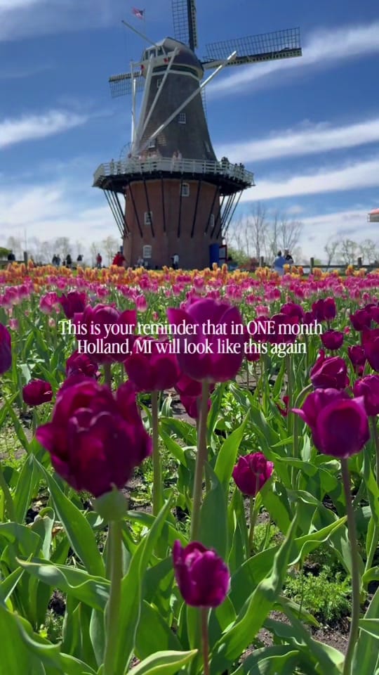 Post 3 by Hey Michigan! on TikTok (video)