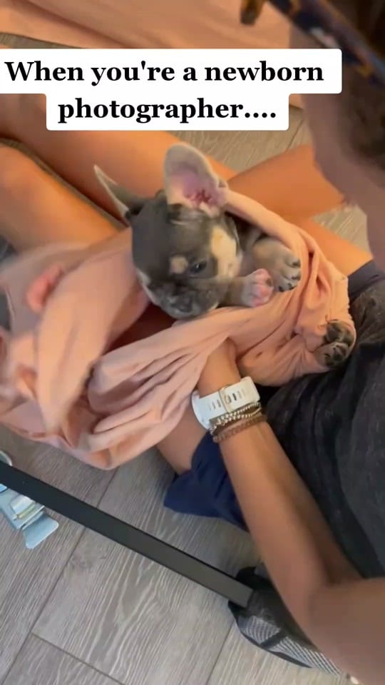 Post 10 by Emily Katherine T Photography on TikTok (video)