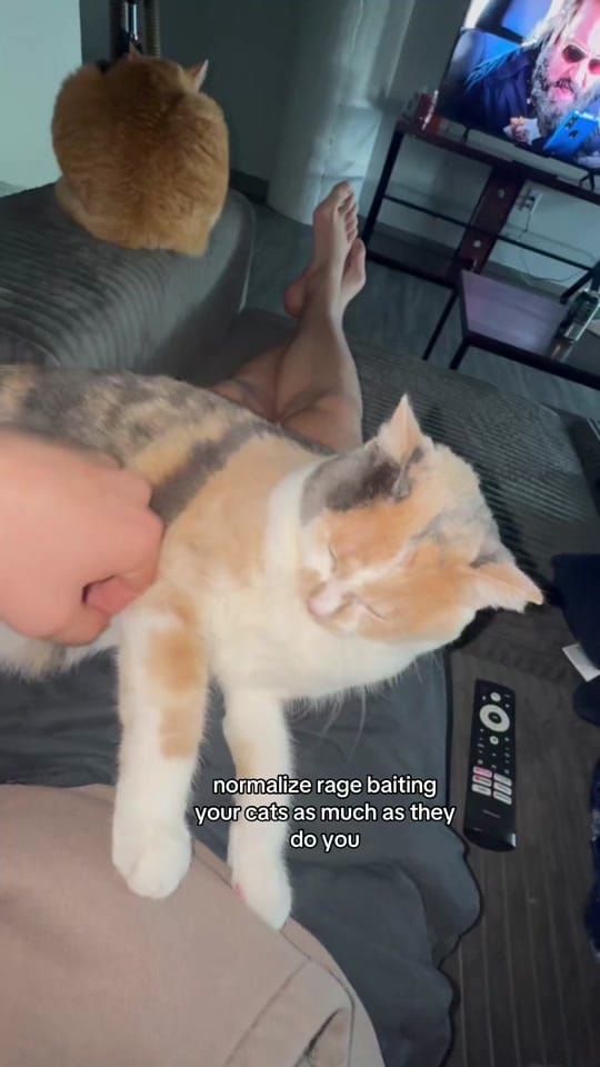 Post 1 by Tyler Lowery on TikTok (video)