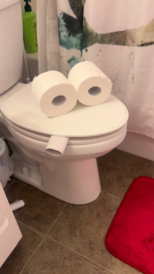 Post 2 by xo.Brittany on TikTok (video)
