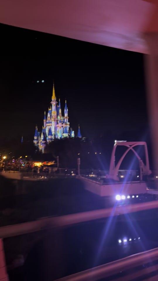 Post 5 by MelissaGovertsen on TikTok (video)
