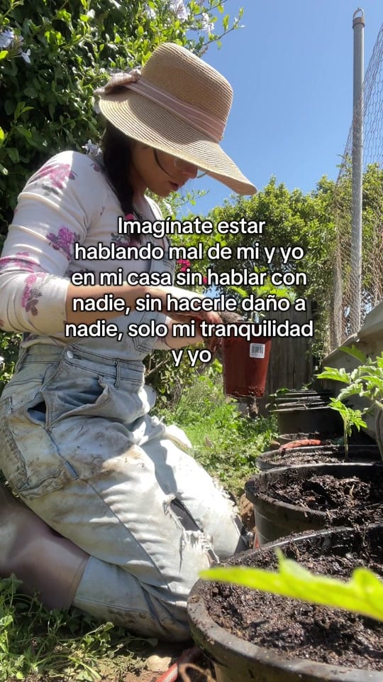 Post 9 by Alba Rincon on TikTok (video)