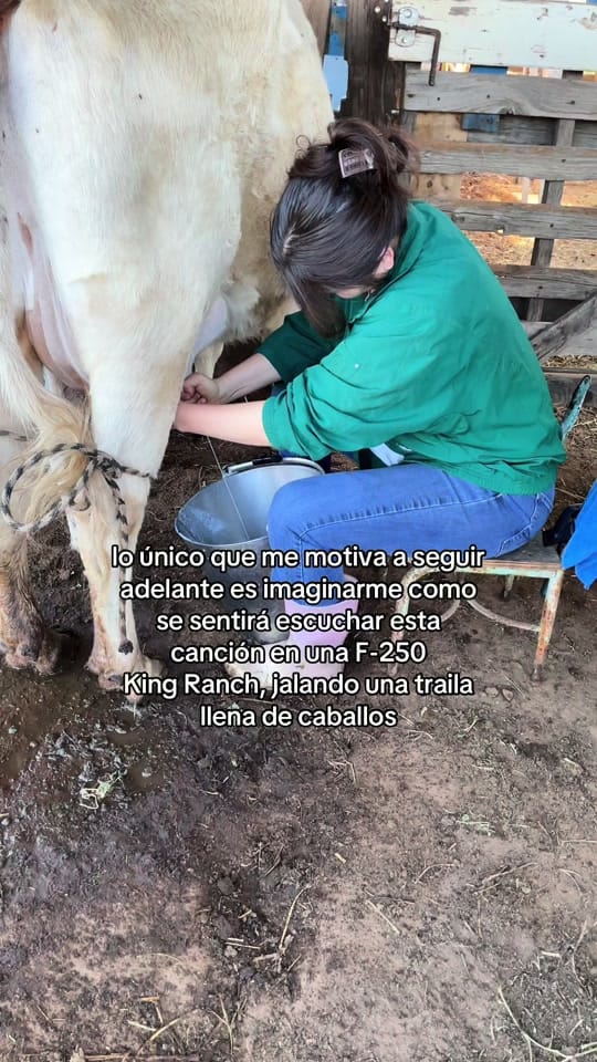 Post 3 by Alba Rincon on TikTok (video)