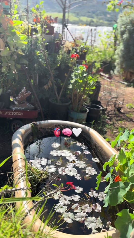 Post 7 by Alba Rincon on TikTok (video)