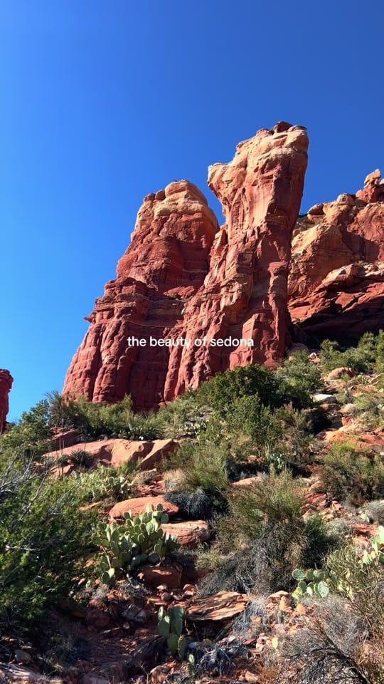 Post 7 by carly on TikTok (video)