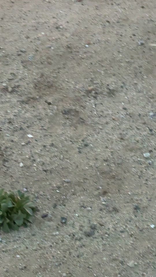 Post 6 by annette.raygoza on TikTok (video)