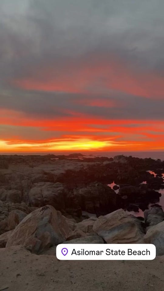 Post 5 by annette.raygoza on TikTok (video)