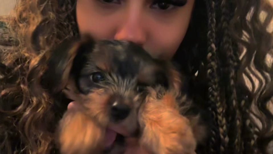 Post 3 by jailynlondon on TikTok (video)