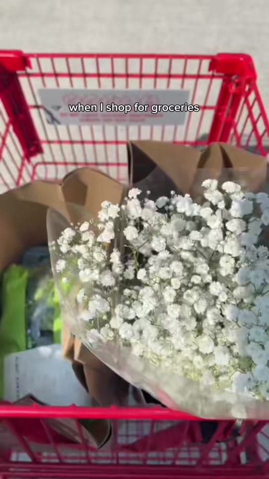 Post 8 by Diana Harris on TikTok (video)