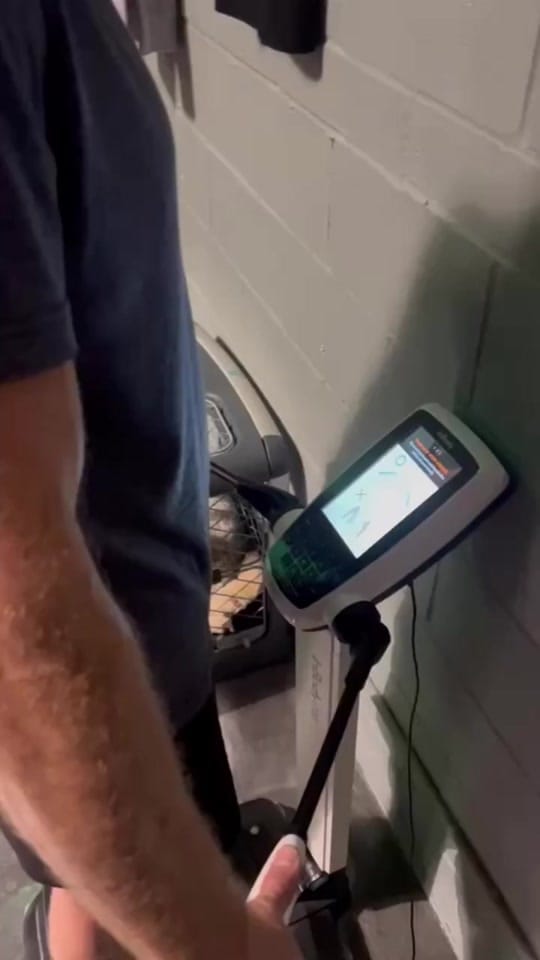 Post 2 by Paigethehunter on TikTok (video)