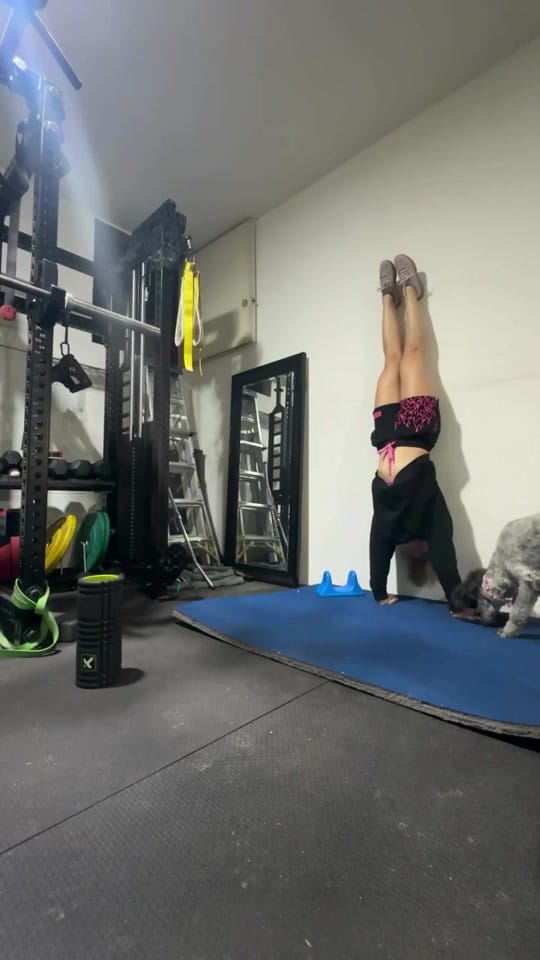 Post 9 by Paigethehunter on TikTok (video)