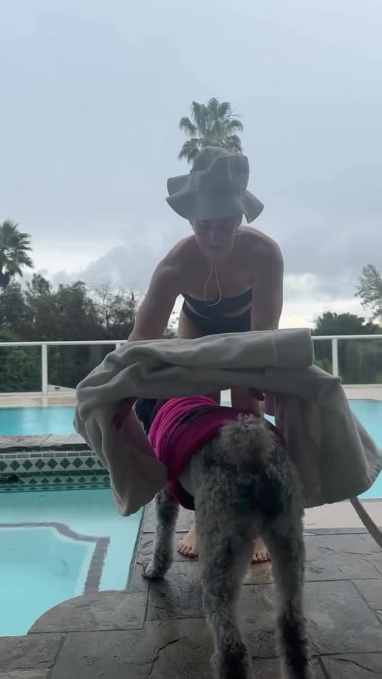 Post 8 by Paigethehunter on TikTok (video)