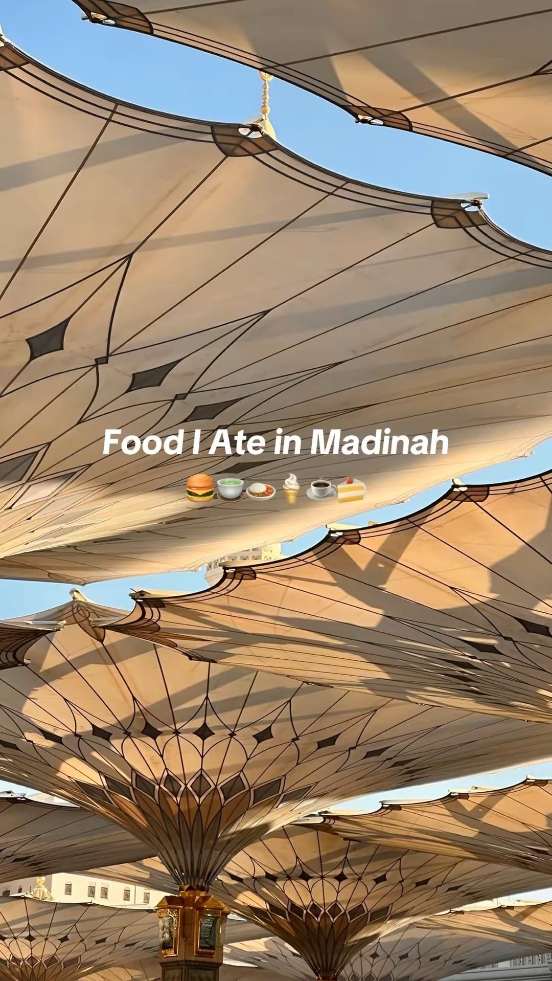 Post 5 by Saraa Syed on TikTok (video)