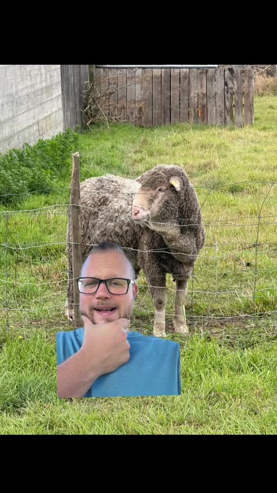 Post 6 by Garrett Hoyer 🇳🇿 on TikTok (video)
