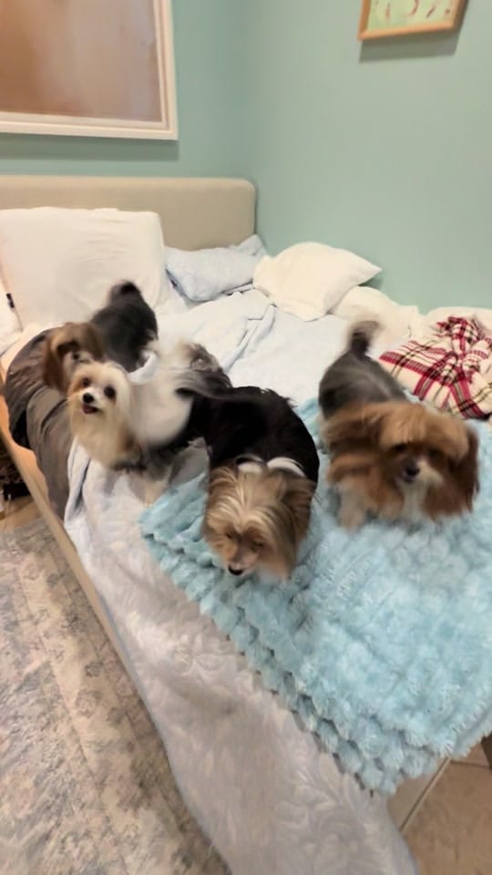 Post 4 by Cody Soutar on TikTok (video)