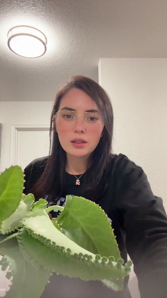 Post 8 by Daniela Campos on TikTok (video)