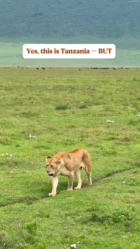 Post 5 by wanderfullyyou on TikTok (video)