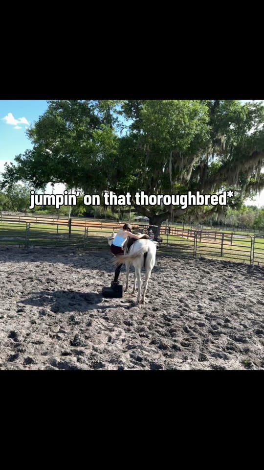 Post 4 by ginaamariee713 on TikTok (video)