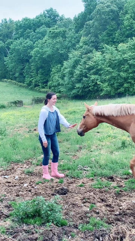 Post 10 by ginaamariee713 on TikTok (video)