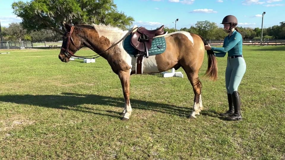 Post 5 by ginaamariee713 on TikTok (video)