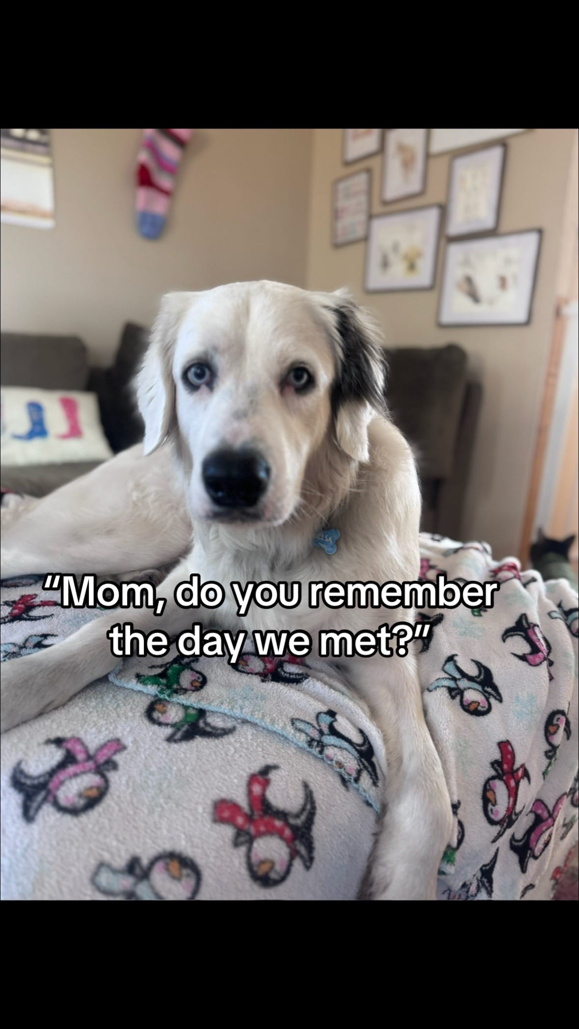 Post 6 by ginaamariee713 on TikTok (video)