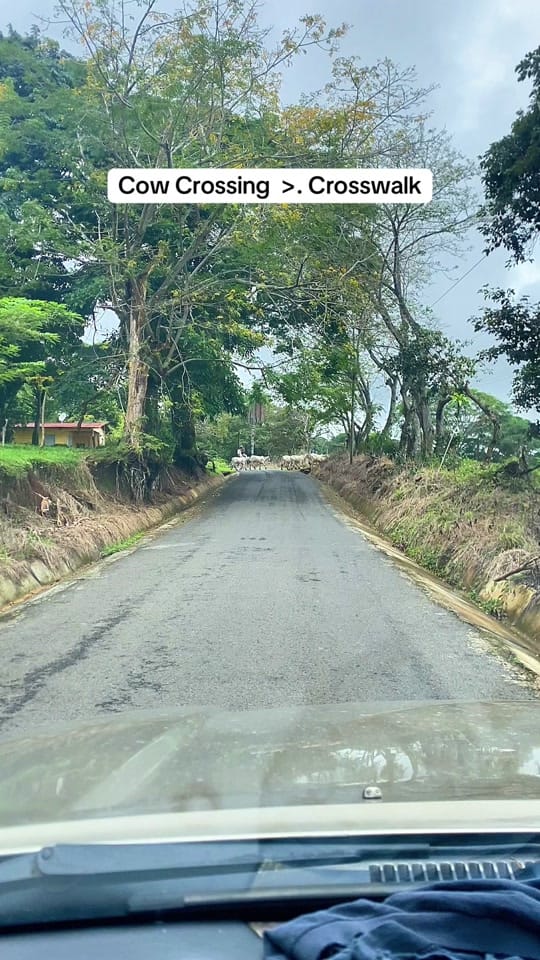 Post 8 by Cristi | rebuilding life on TikTok (video)