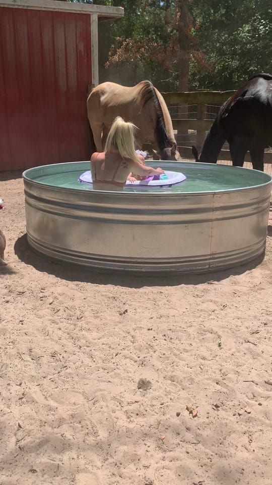 Post 9 by Gabrielle Stacey on TikTok (video)