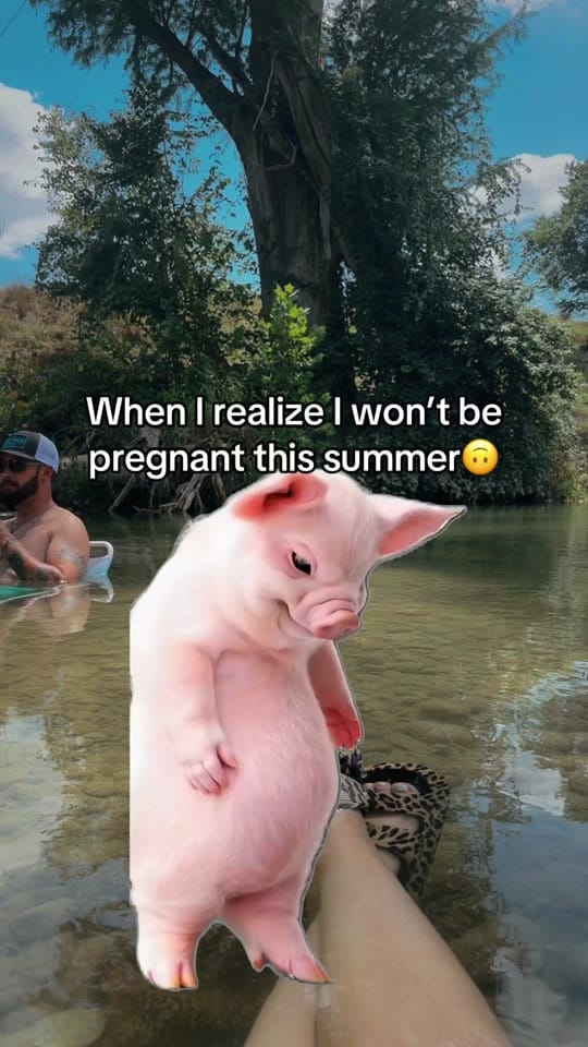 Post 5 by Gabrielle Stacey on TikTok (video)