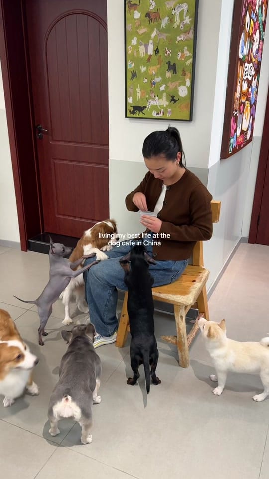 Post 3 by Angelyn | 2026 Bride on TikTok (video)