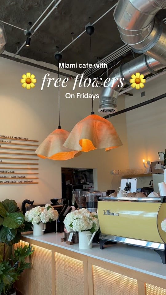 Post 9 by Sarah Chavez on TikTok (video)